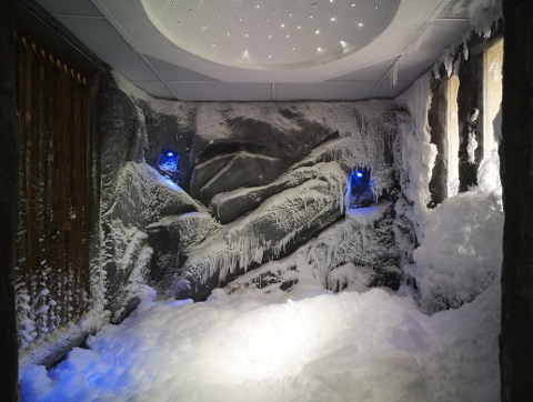    «snow room»          .