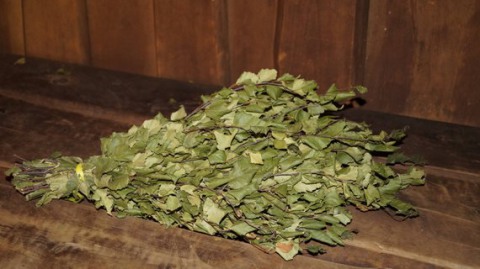 Любителям бани и парильщикам - начинаю заготовку веников(дуб, береза), чая из трав.