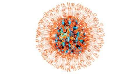 Вирус герпеса активизируется при ослабленном иммунитете.