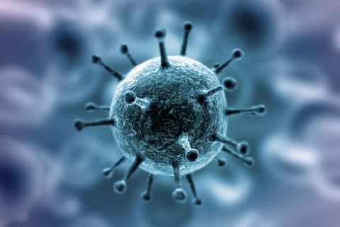 Вирус считается достаточно контагиозным – в среднем от каждого больного заражаются 2-3 здоровых человека.